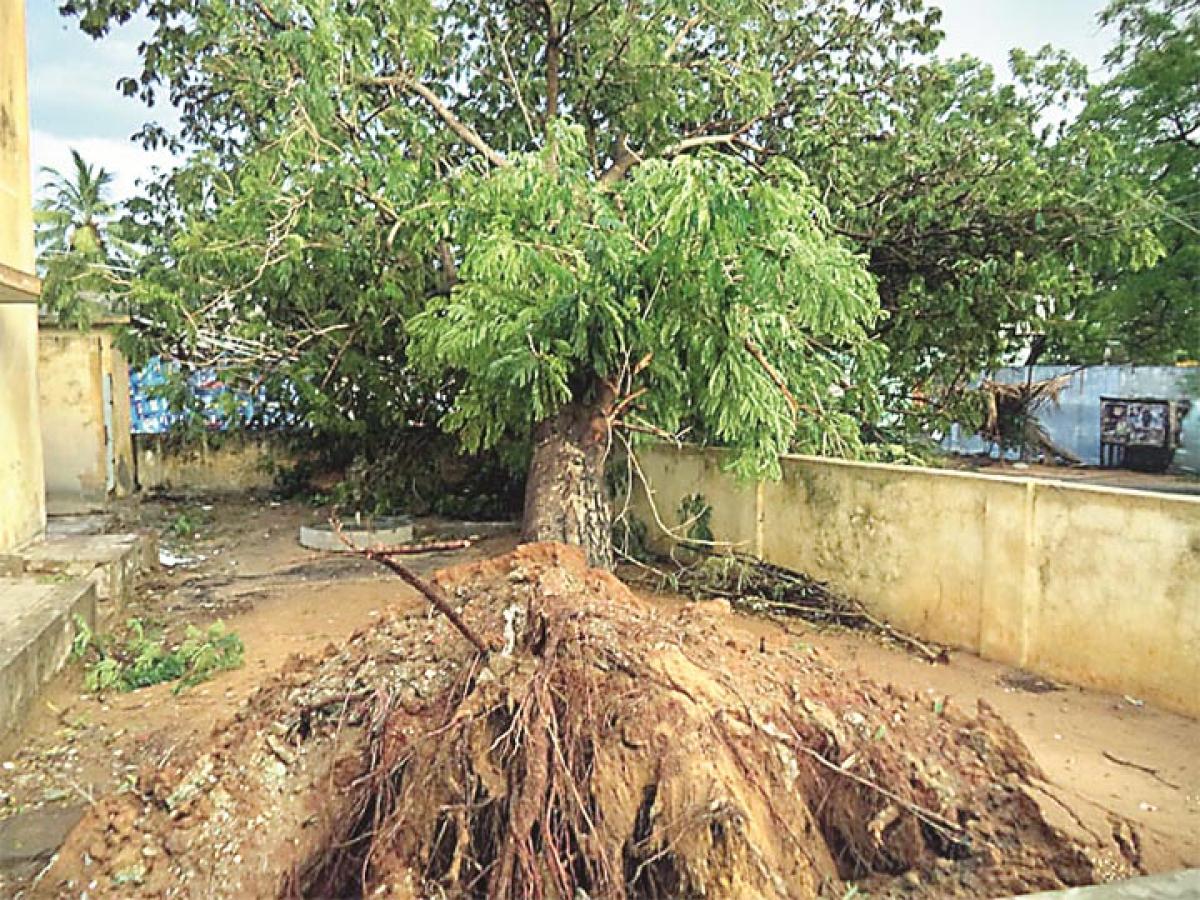 Heavy rains lash Chirala