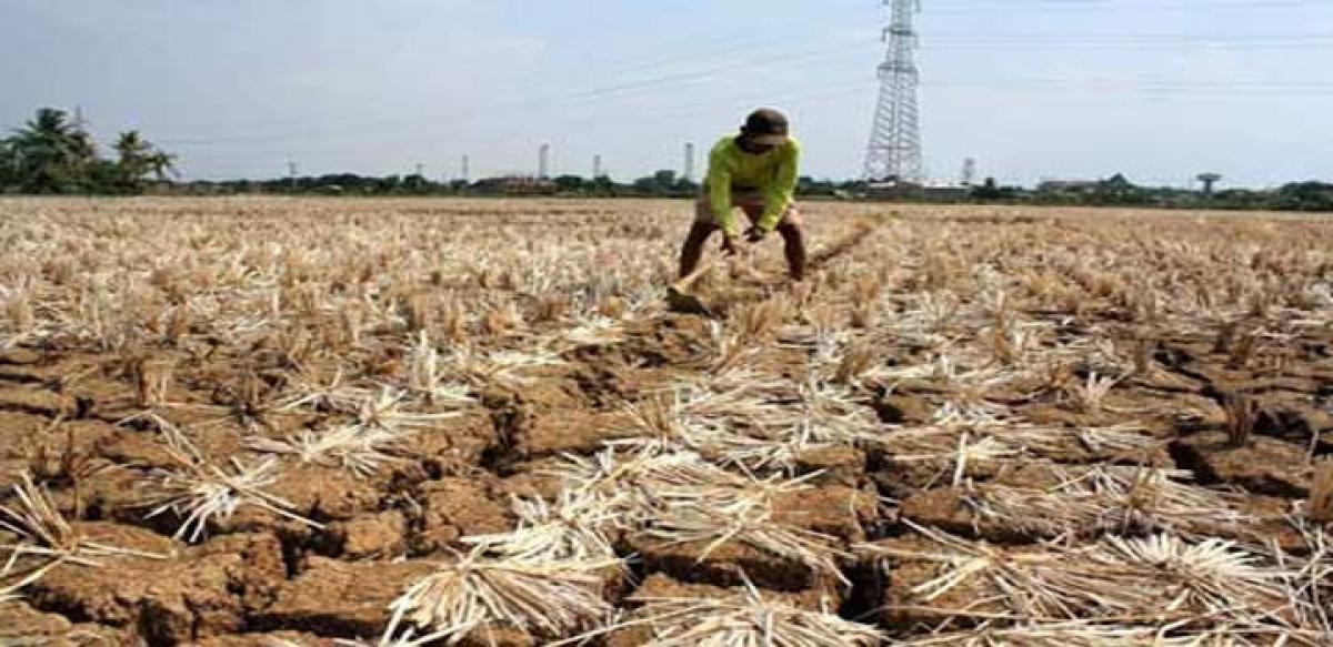 El Nino to cripple farm activity this year too?