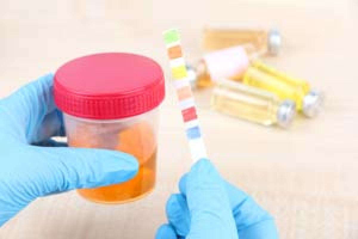 New biomarkers could lead to urine test for preeclampsia