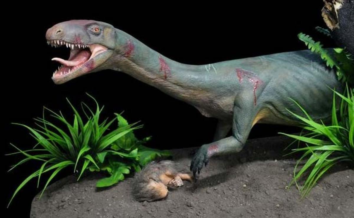All In The Family: Dinosaur Cousins Look Is Quite A Surprise