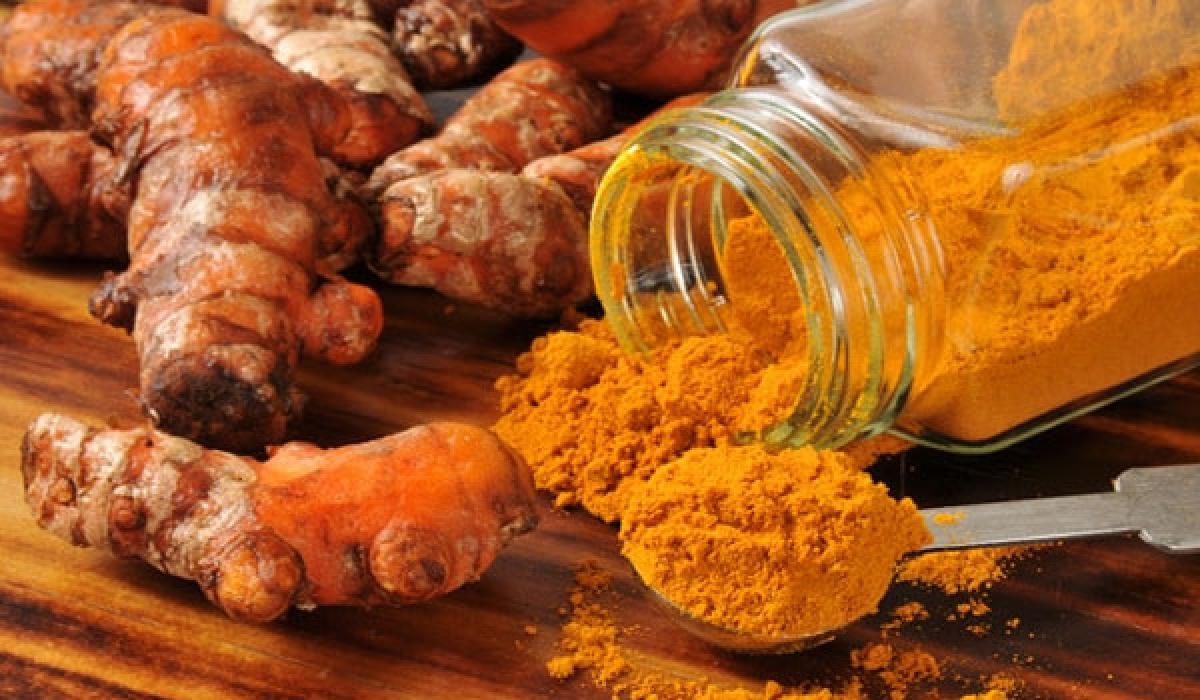 Markfed to buy third grade turmeric