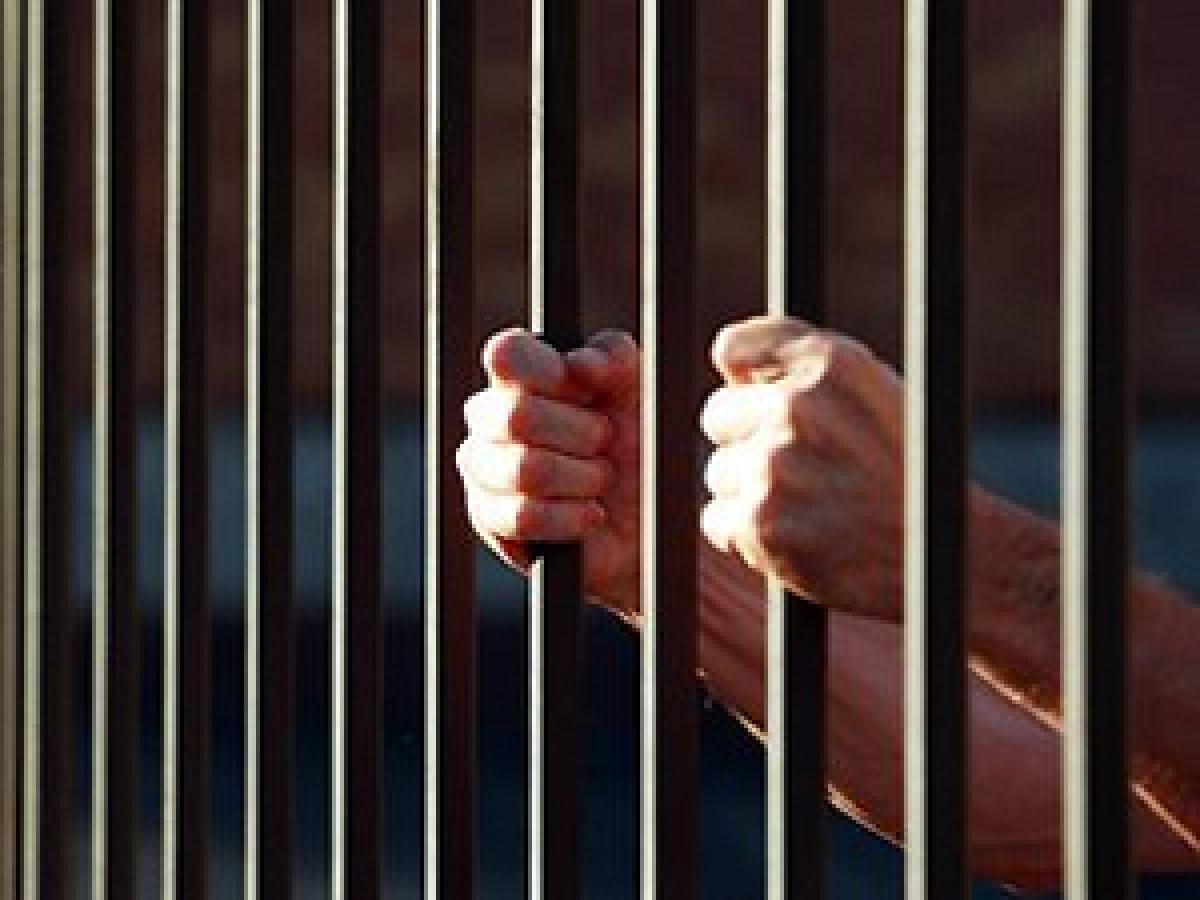 Netherlands wont help early release of Indian-origin man in US prison