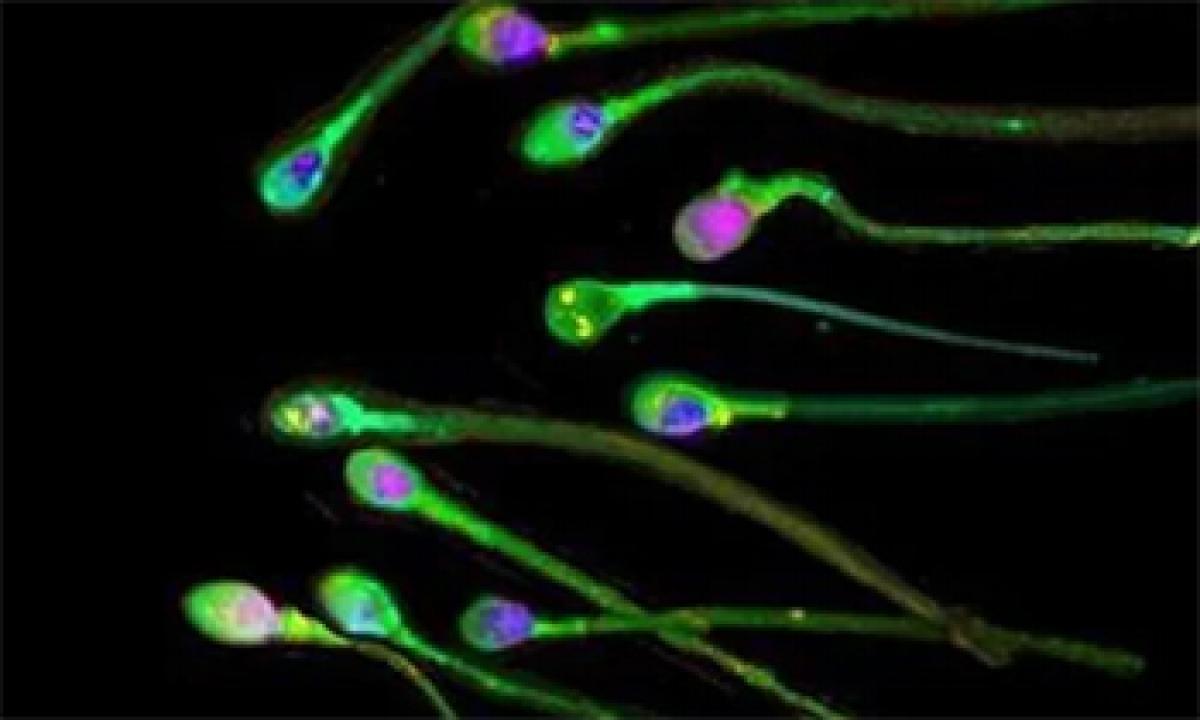 Men with fertility issues can grow new sperm from their own skin cells?