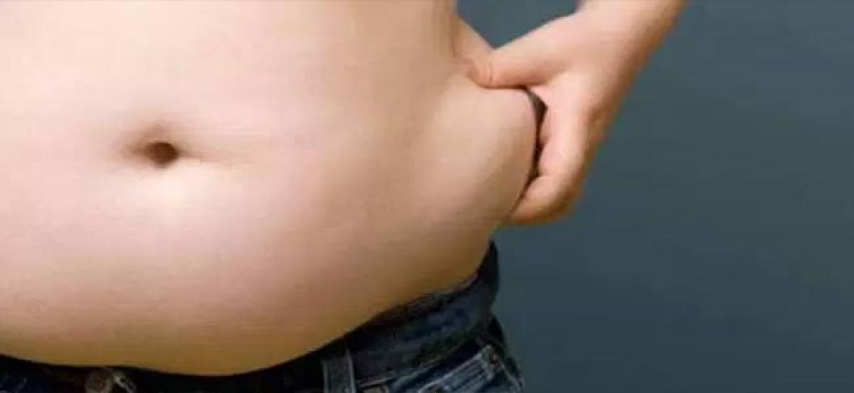 New molecule to fight obesity identified