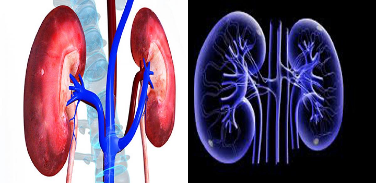 Chronic Kidney Disease: A Silent Killer