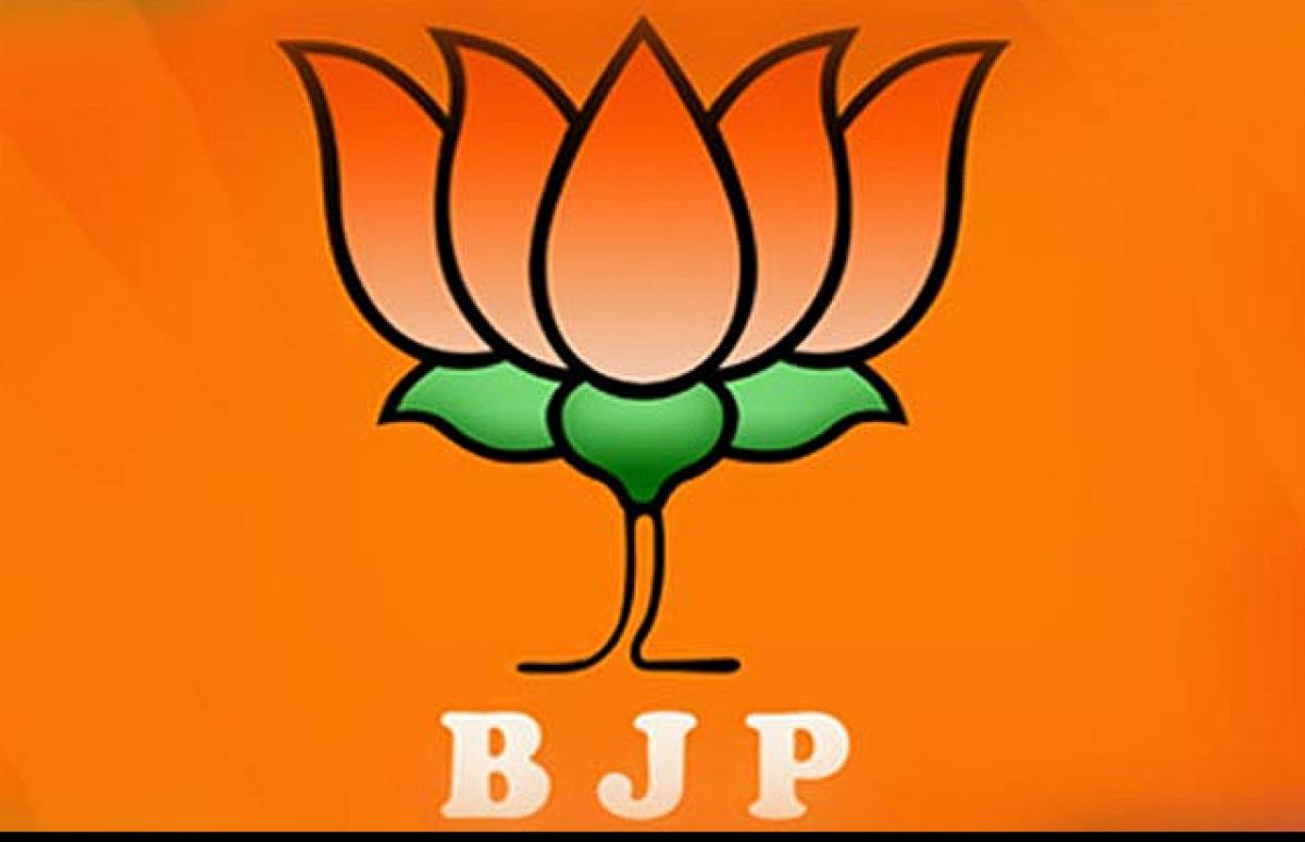 BJP: AP special status still under consideration