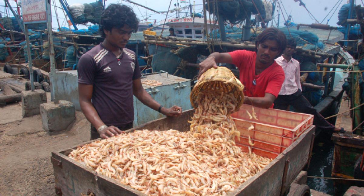 Fishermen unhappy over poor fish catch