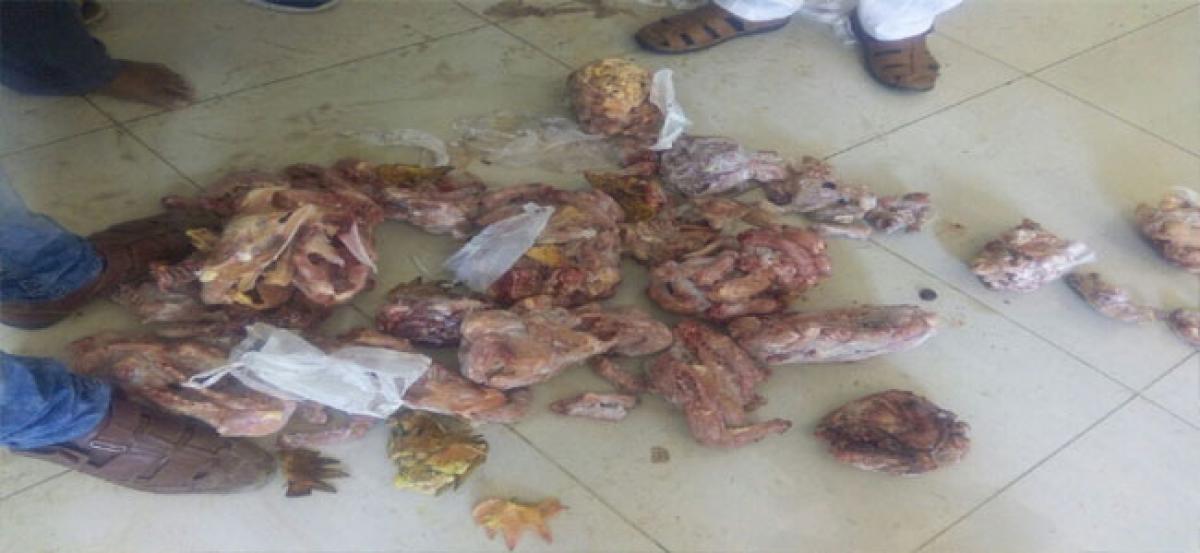 Chicken shop seized for storing 60 kg of stale meat