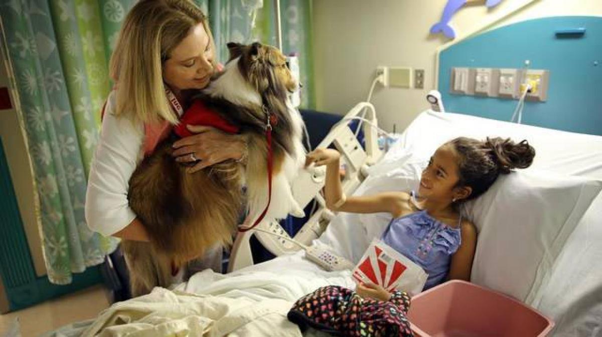 Kids with pets take fewer sick days