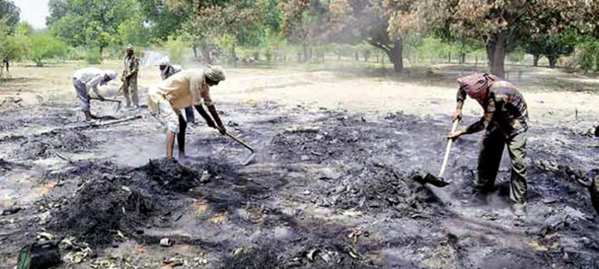 Mathura loses green cover, thanks to recent clashes