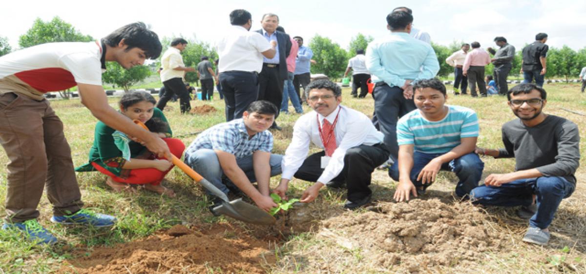 Plantation drive at Symbiosis