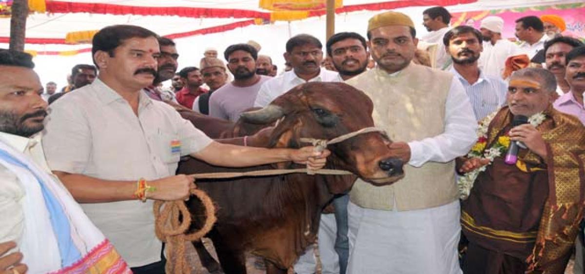 Dargah pontiff presents cow to MLA