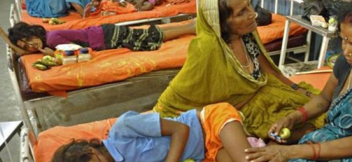 15 deaths in AP tribal village; food poisoning suspected