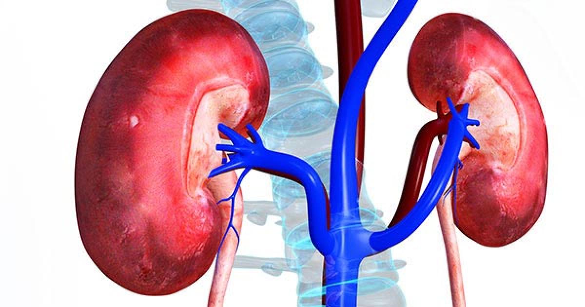 Kidney disease sufferers doubled in India in 15 years