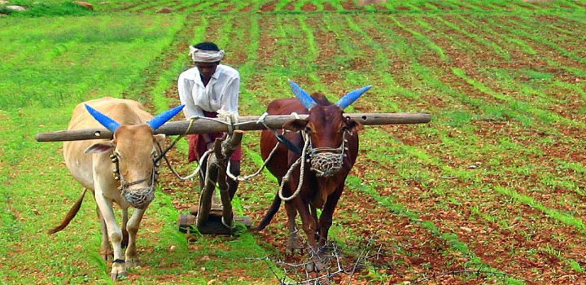 Telangana recommends treating farmers as a unit