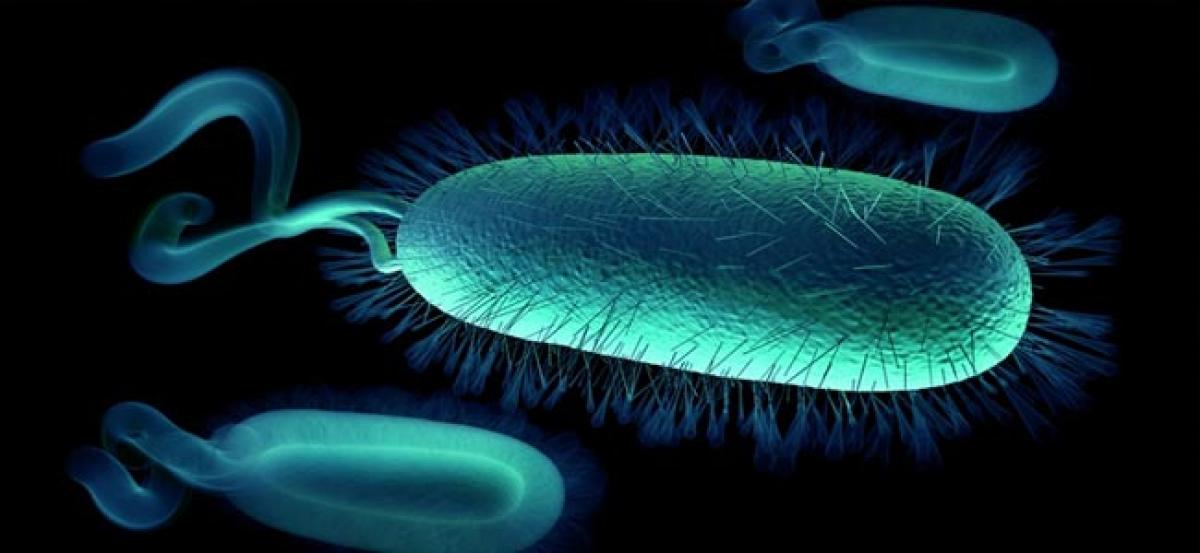 Patients with Multiple Sclerosis have low levels of good bacteria