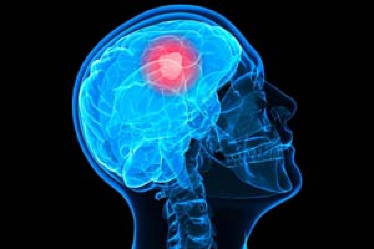 Nano-carrier can deliver drug to kill deadly brain tumour