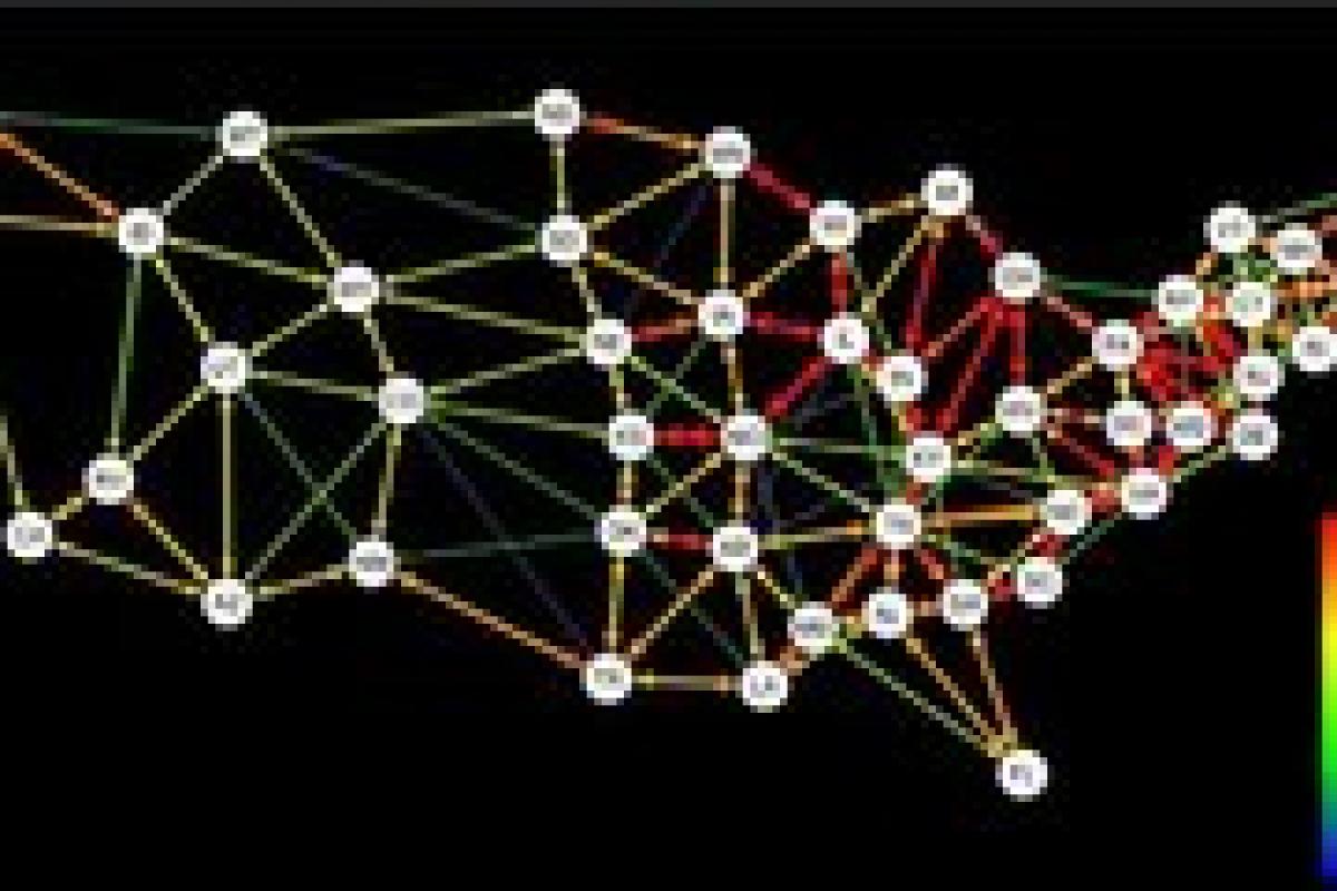 Scientists design placenta-on-a-chip