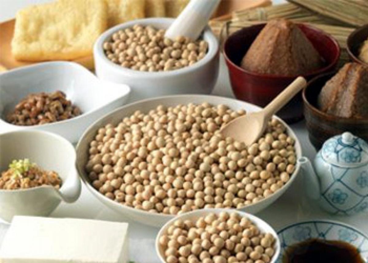 Soy-rich diet protects women from BPA health risks
