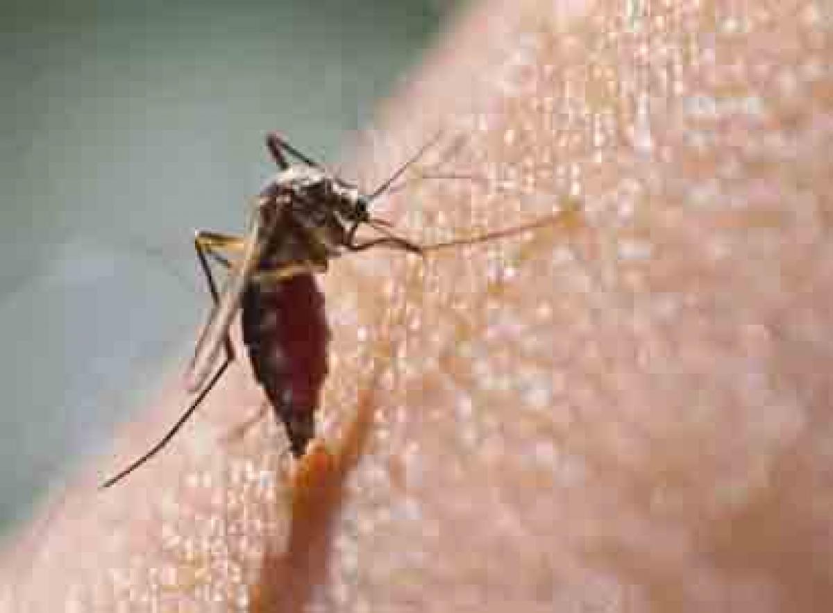 Chinas border region on Zika alert