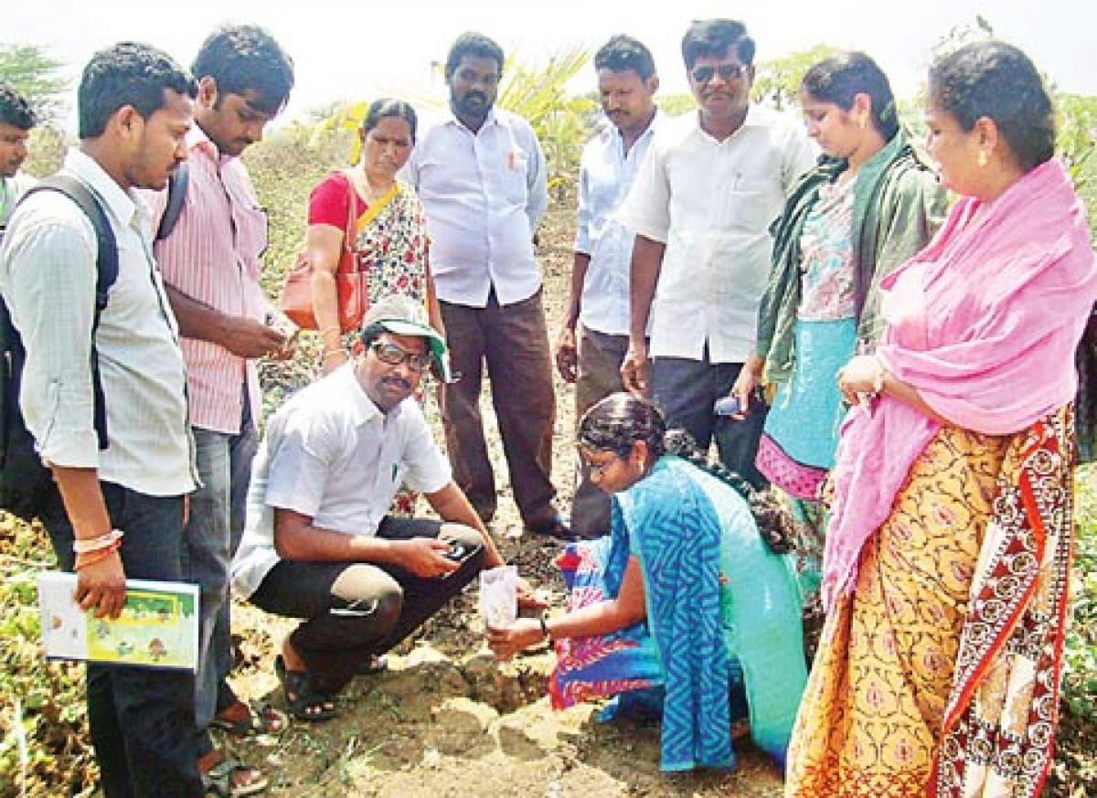 17,643 farmers yet to get soil health cards