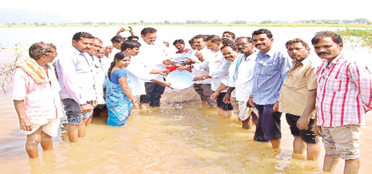 One lakh fishings released in Dowdapalli tank