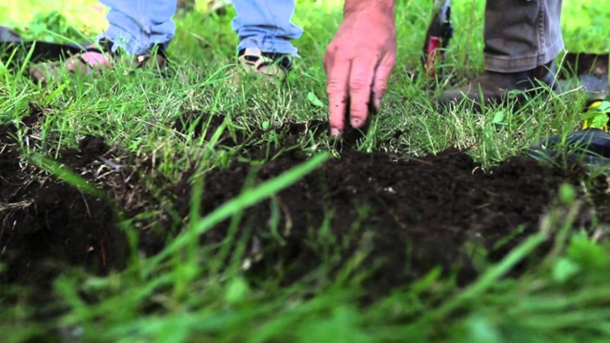 Farmers’ elated over soil health cards