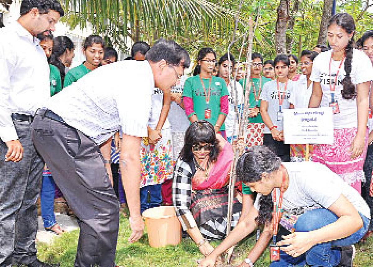 Plant saplings to prevent global warming