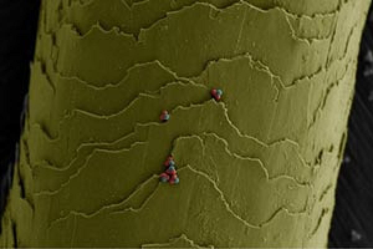 Chemists create microscopic self-assembling building blocks