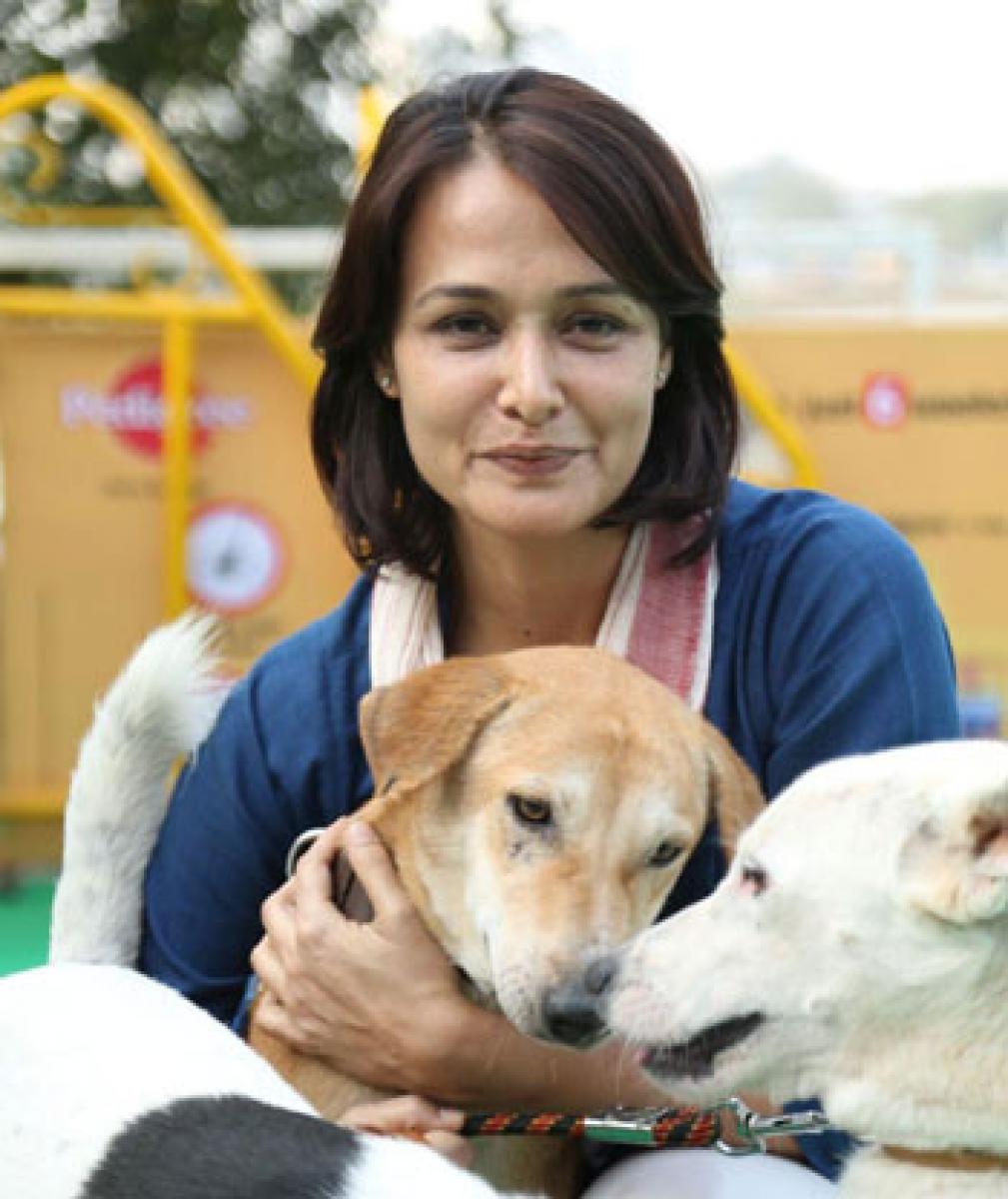 Community fireworks is the way forward: Amala Akkineni