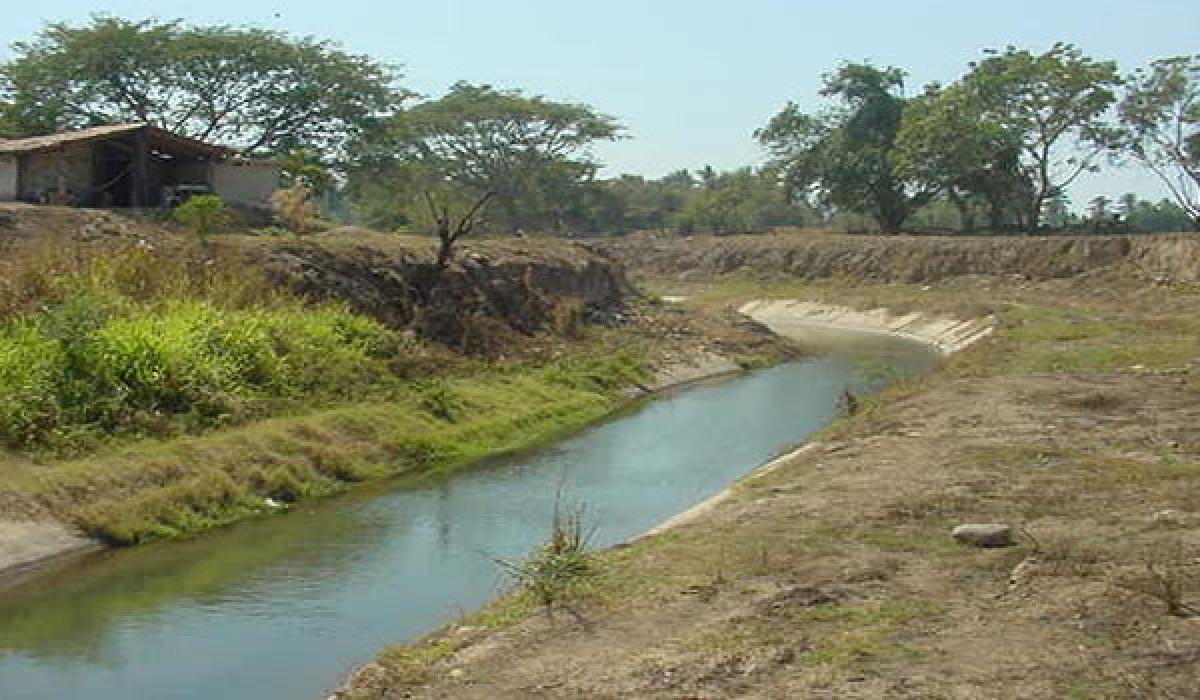 A lifeline for Ponangi Puntha Irrigation Channel