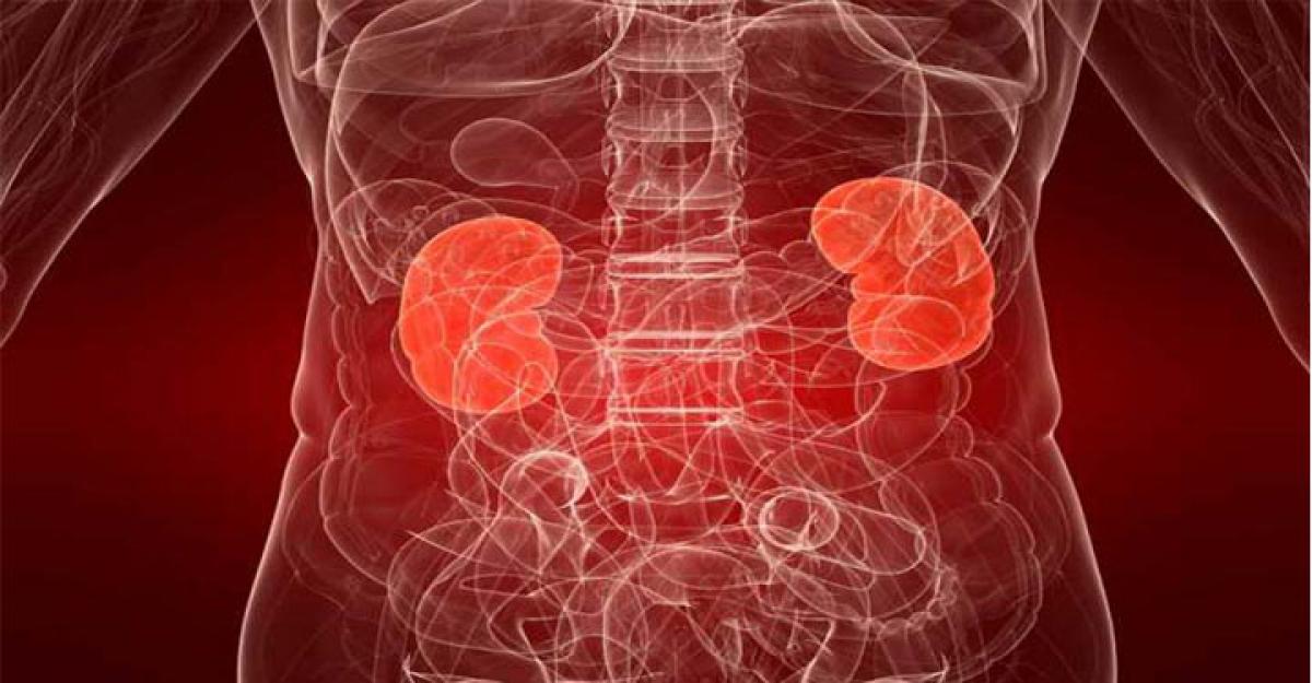 Protein in blood can predict fatal kidney disease