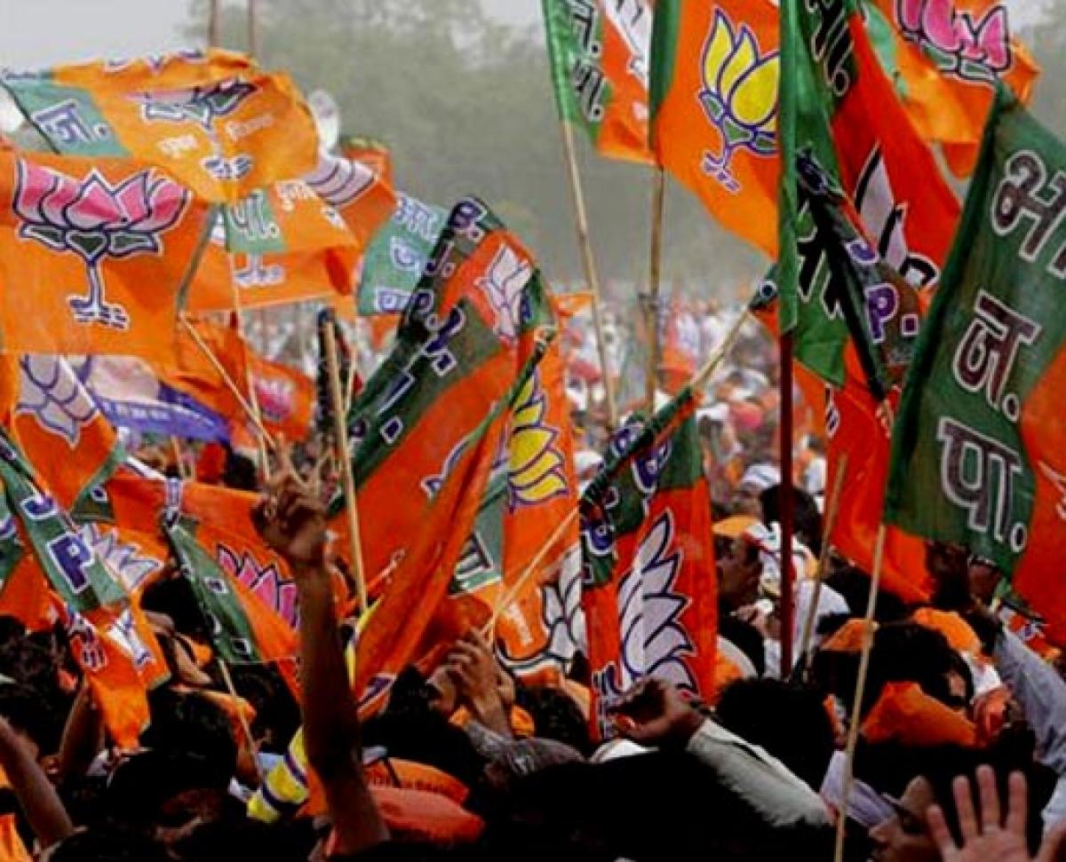 BJP fields one Muslim in Bihar