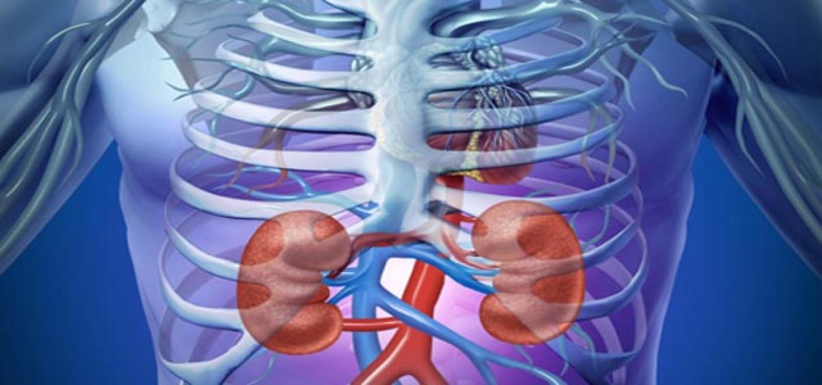 Programme to raise awareness on kidney diseases tomorrow