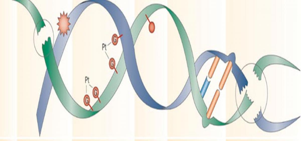 Error in DNA repair process may lead to neuro-degenerative disorders