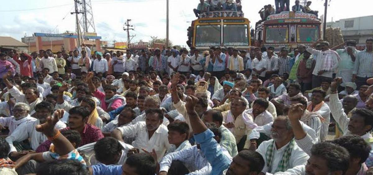 Farmers stage stir demanding  resumption of chilli purchases