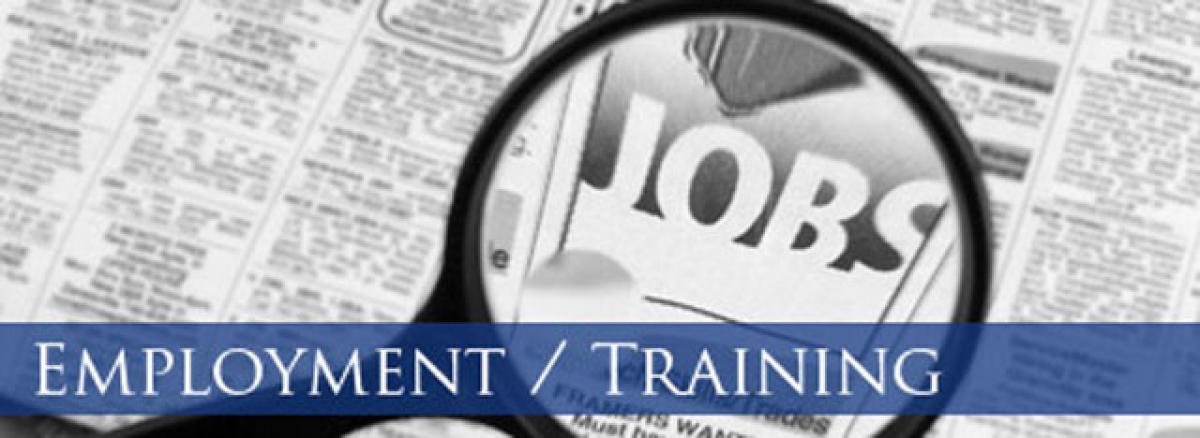 Employment and Training in Bangaru Telangana