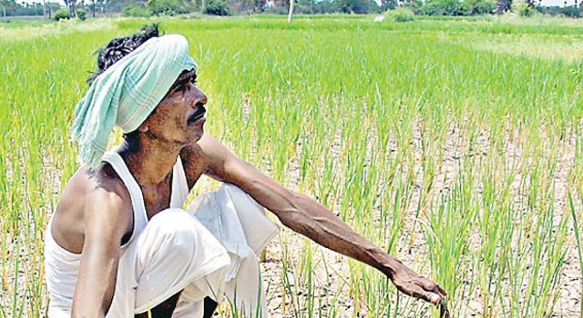 Farmers undergoing severe hardships due to deficit rains