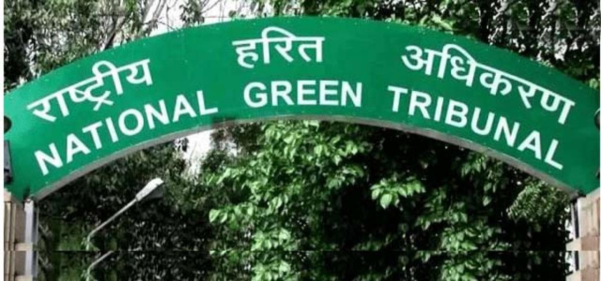 Telangana to address NGT’s eco concerns