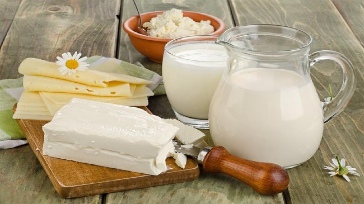 Dairy products boost effectiveness of probiotics