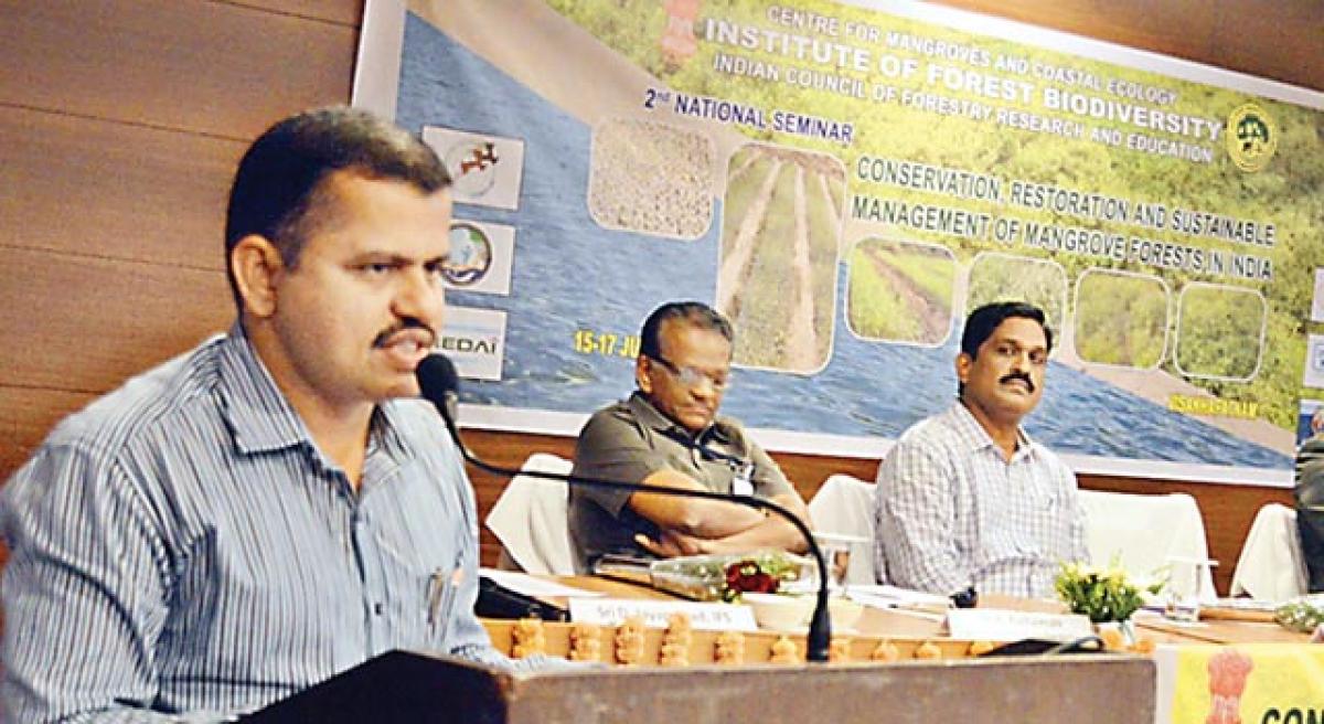 Mangroves help mitigate natural calamities