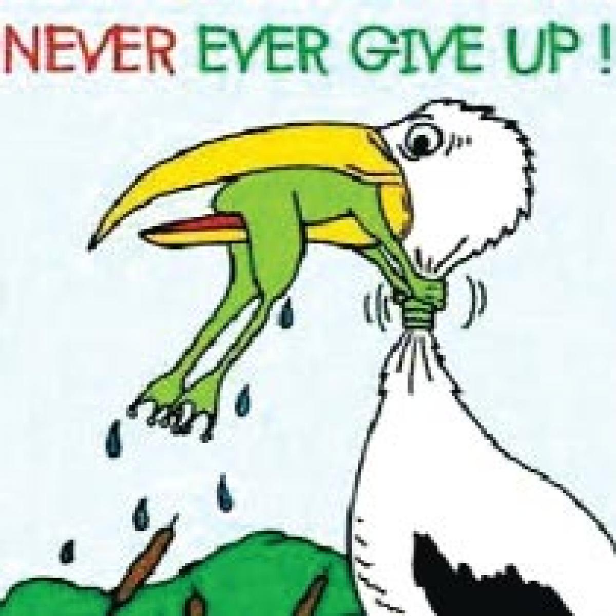 never never never give up