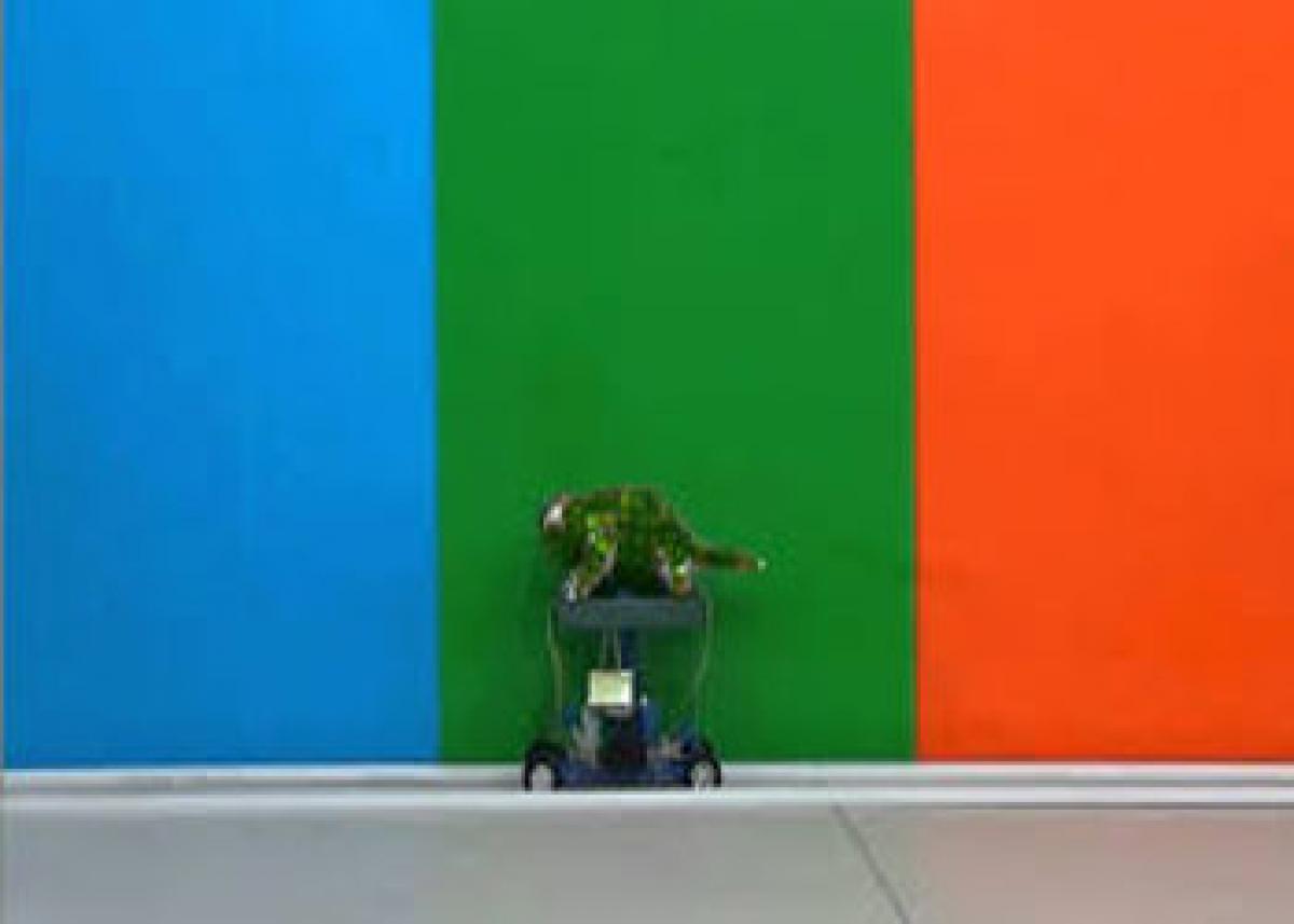 New Robot Chameleon able to blend into its surroundings