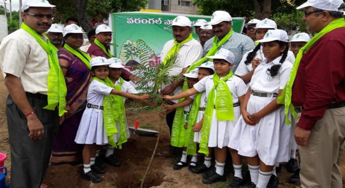 DPS students plant saplings.