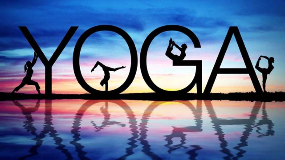 Free yoga camp from July 15