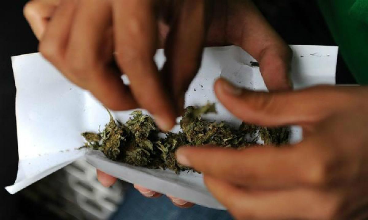 California approves the recreational use of marijuana