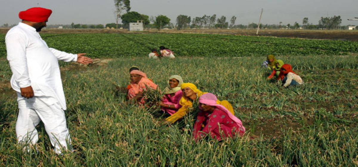 Farm income tax can curb black money