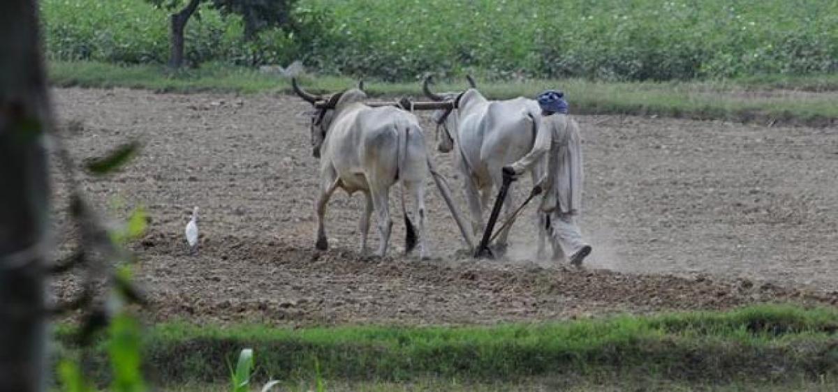 Telangana State pitches for insurance to crops sown under Kharif