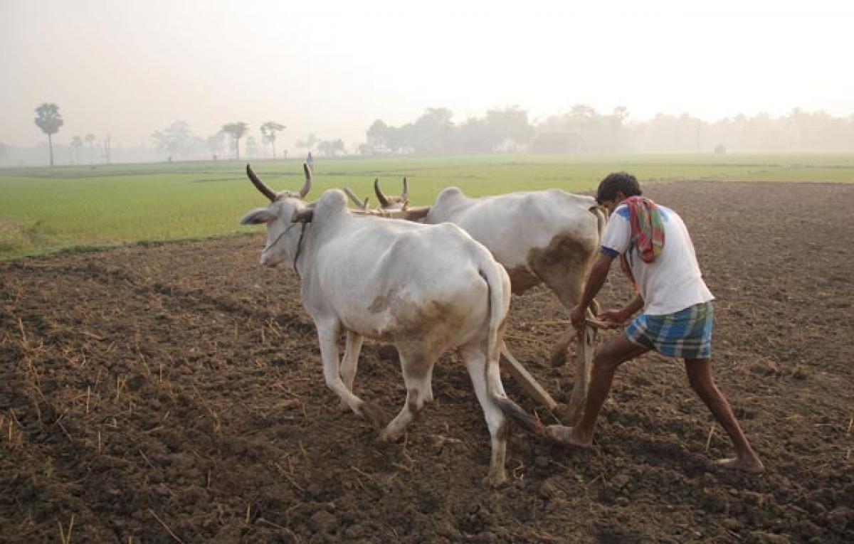 It’s time to bring agriculture back on track