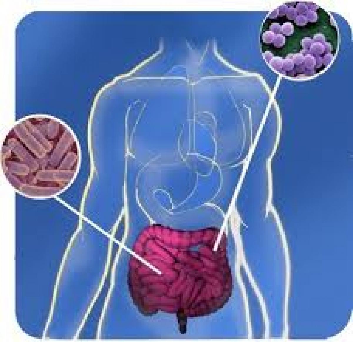 What Can Cause Bacteria In The Lungs